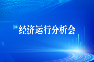 PP电子游戏集团召开2025年上半年经济运行分析会
