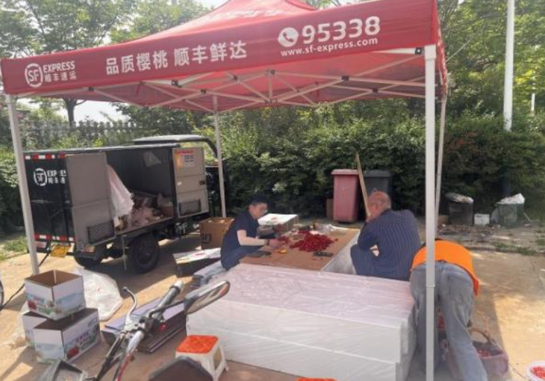 涔℃潙鎸叴宸ヤ綔鍔ㄦ€ 锛堢181鏈燂級