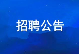 PP电子游戏 2025年度公开招聘公告