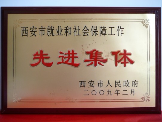 2009年2月，被西安市政府评为西安市就业和社会保障工作先进集体